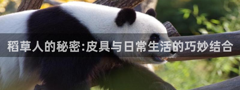 富邦娱乐网址
