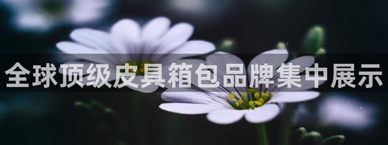 临平富邦娱乐场所