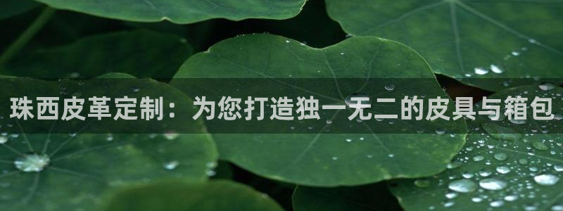 富邦天娱乐