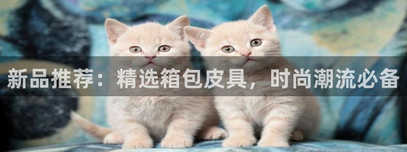 富邦娱乐登入上银狐网