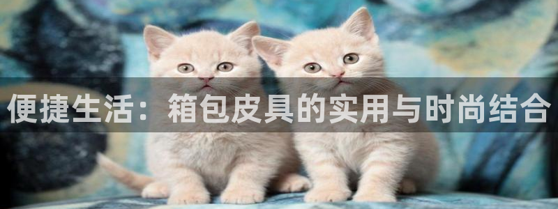 富邦娱乐开户