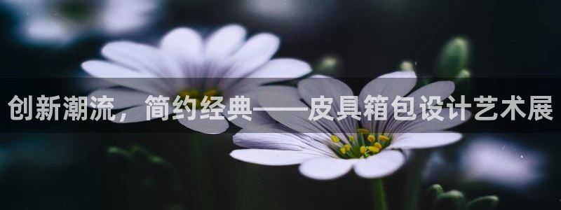 富邦娱乐城打牌
