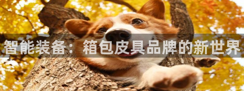 富邦翡翠娱乐