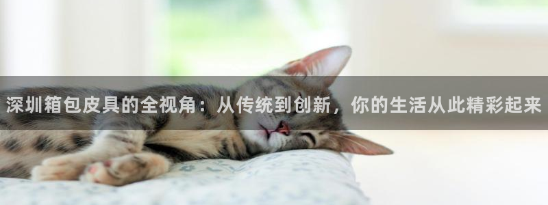 富邦商务娱乐会所