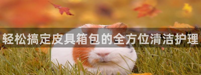 临平富邦丽佳娱乐会所
