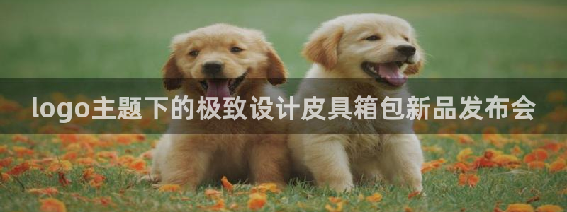富邦娱乐澳门娱乐