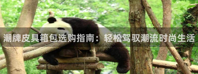 富邦老品牌娱乐城