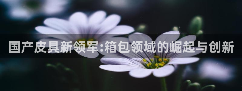 www.富邦娱乐