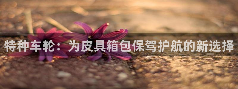 富邦广场的娱乐项目