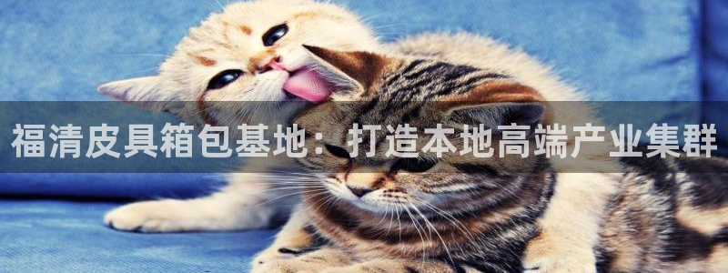 富邦娱乐平台-上全狐网