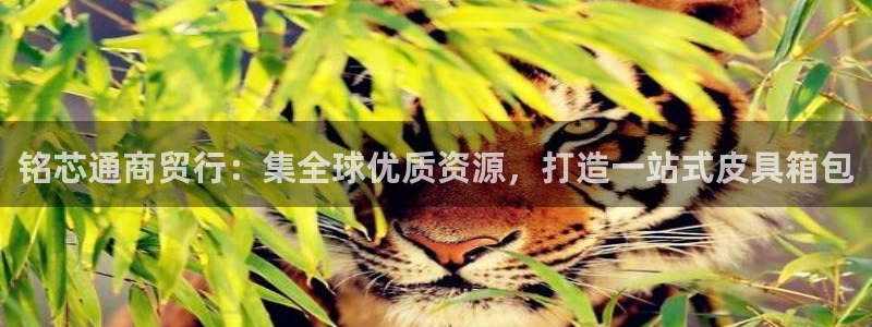 富邦现场娱乐