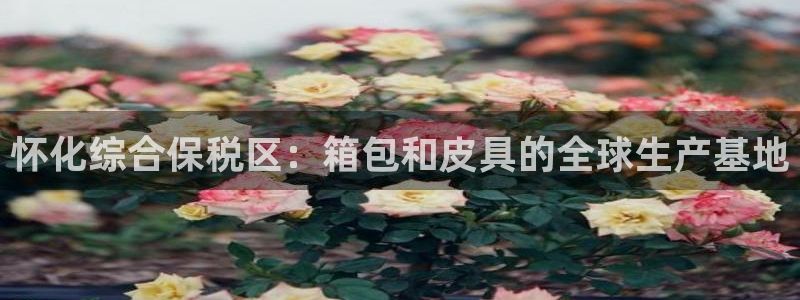 富邦娱乐官方网站