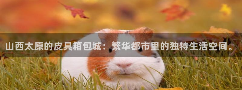 富邦电子娱乐