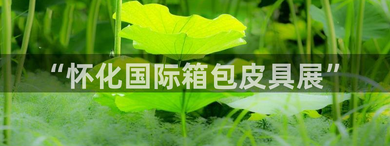 富邦娱乐大厅优惠活动