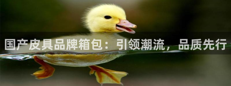 富邦娱乐城