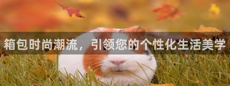 富邦线上娱乐城