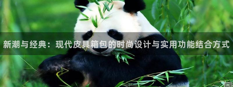 富邦娱乐活动