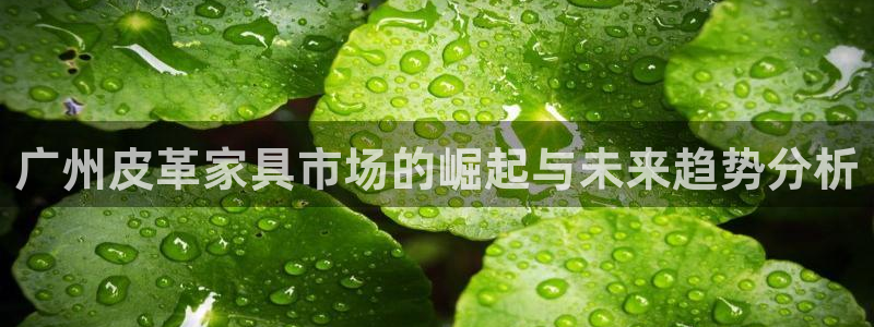 富邦娱乐开户