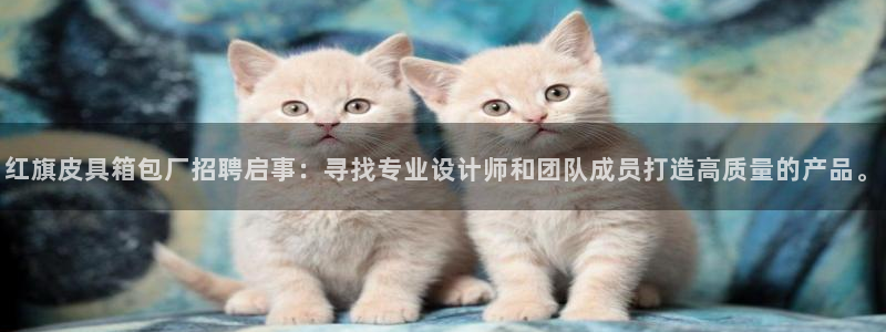 宁波富邦广场翡翠娱乐
