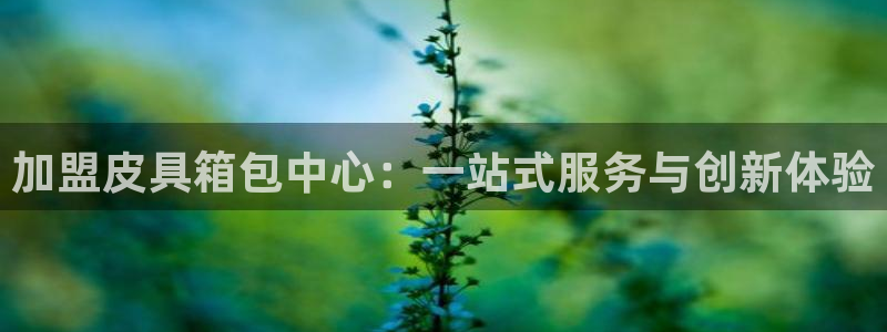 富邦娱乐 全礴网