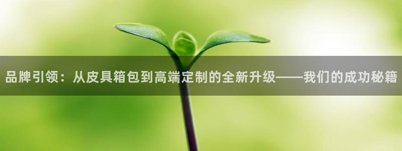 杭州富邦娱乐集团