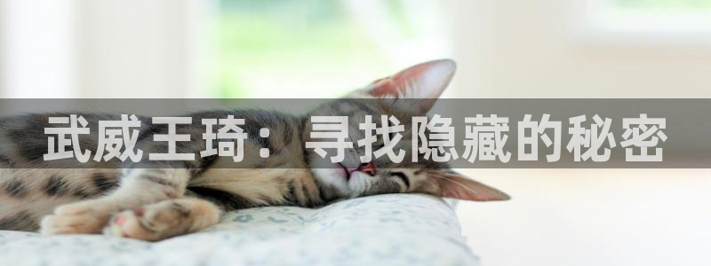 富邦娱乐 全礴网