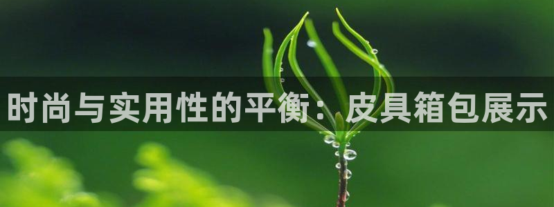 富邦娱乐网址是多少