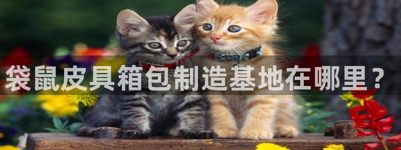 富邦酒店有娱乐场所吗