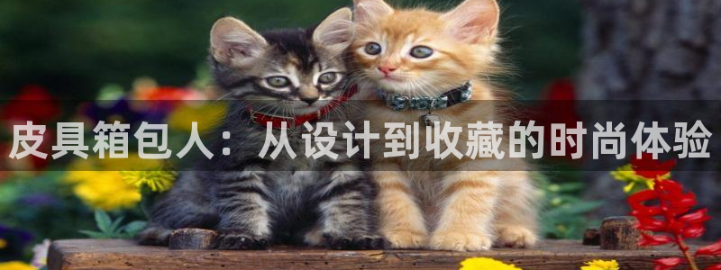 富邦娱乐注册上全狐网