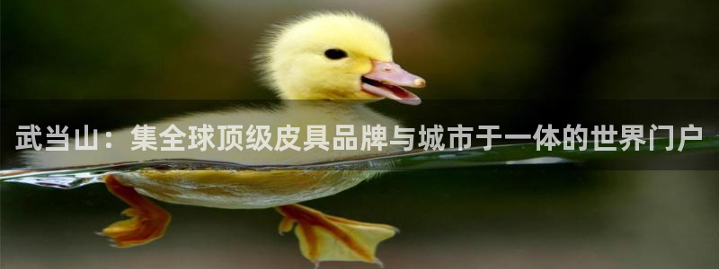 富邦酒店有娱乐场所嘛