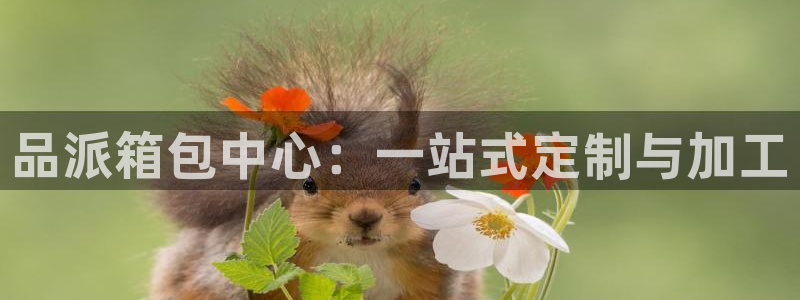 杭州临平富邦娱乐厅地址