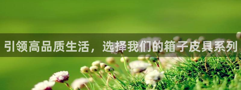 邦富娱乐国际