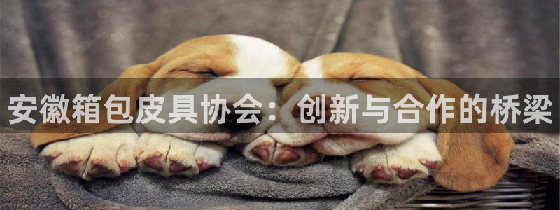 富邦娱乐平台 全礴网