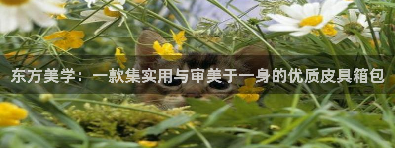 澳门富邦线上娱乐平台