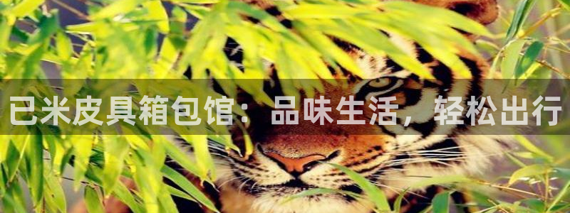 富邦娱乐官网上全狐网