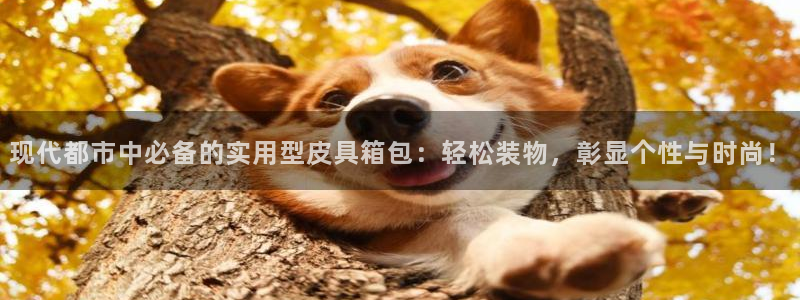 上海邦富娱乐有限公司