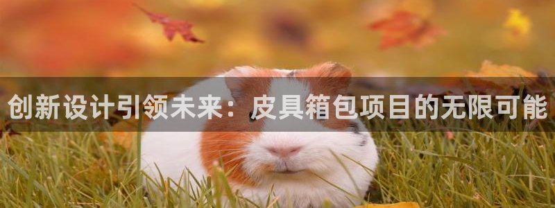 富邦娱乐app官方下载