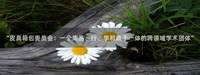 富邦娱乐官方网站