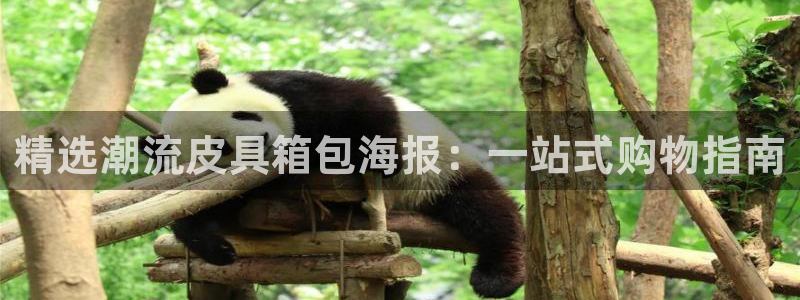 富邦娱乐彩票官网下载