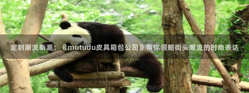 富邦娱乐团购怎么样啊