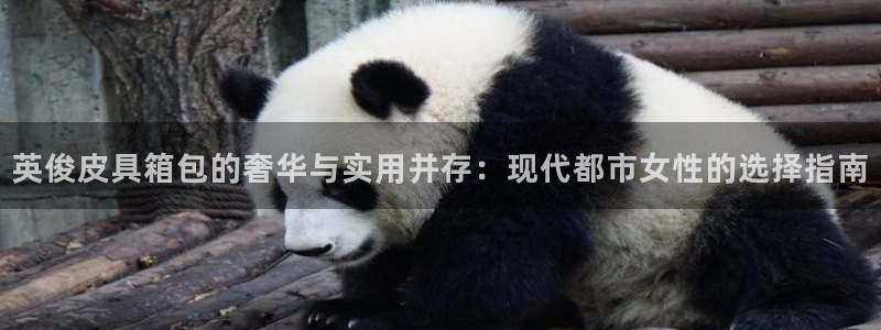 富邦娱乐平台-皇恩靠谱