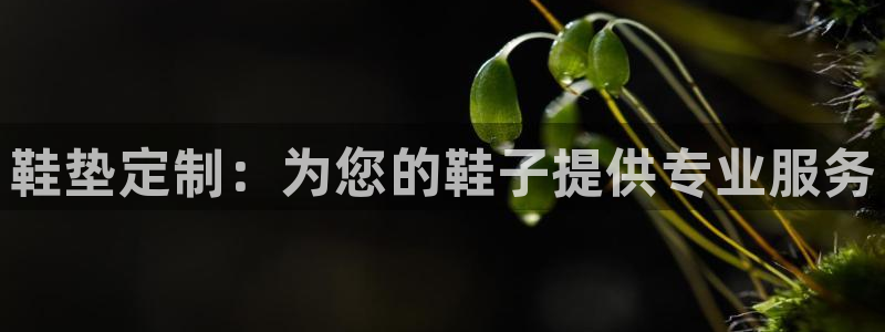 天象娱乐和宁波富邦