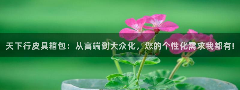 富邦娱乐 果敢锦海