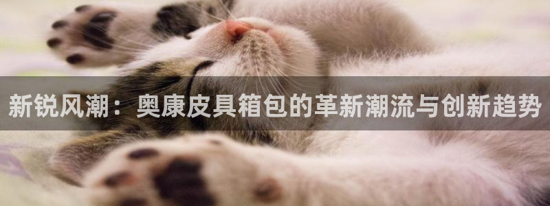 富邦娱乐平台-上全狐网