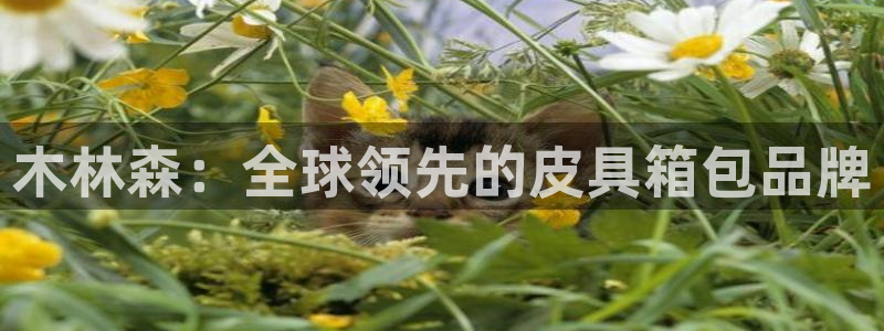 富邦娱乐怎么样