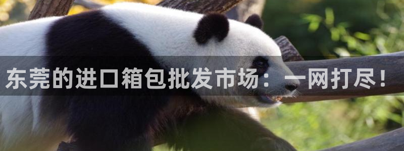 富邦娱乐彩票最新地址