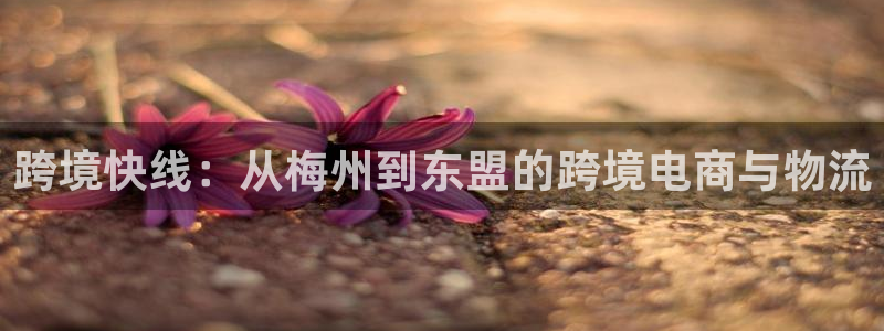 富邦娱乐官网 全礴网