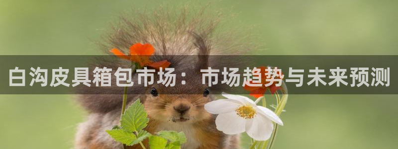 富邦娱乐团购怎么样啊