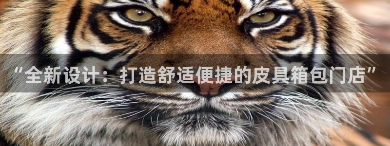 临平富邦佳丽娱乐会所