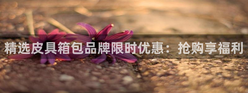 富邦老品牌娱乐城